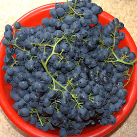 Коктебельский виноград