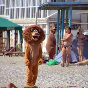 Лев на пляже